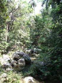Parque Natural Topes de Collantes