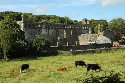 Palais épiscopal de St-David's