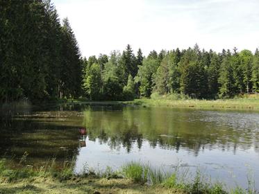 Plateau des Mille Étangs