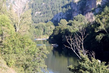 Tarn