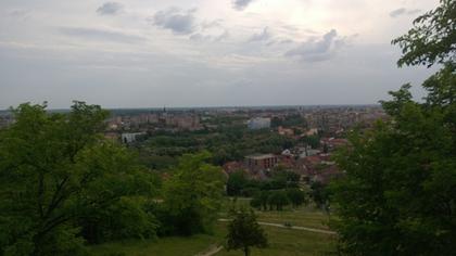 Oradea vazuta de la ciuperca