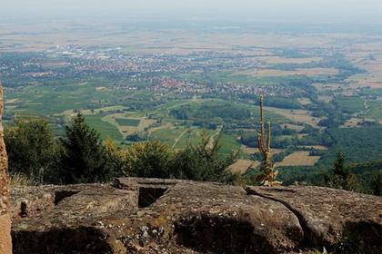 Mount St Odile