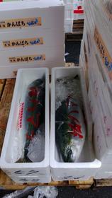 Tsukiji Jogai Market