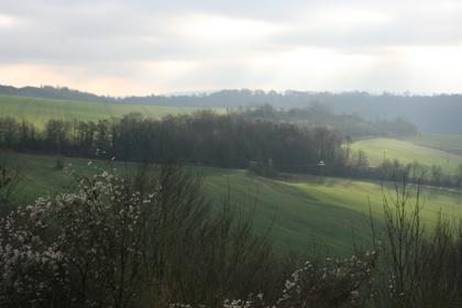 Chemin des Dames