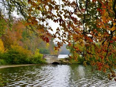 Commelles pools