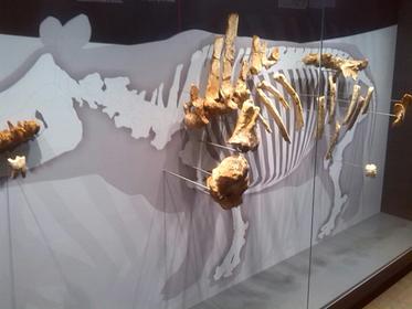 Museo Regional de Prehistoria y Arquelogía