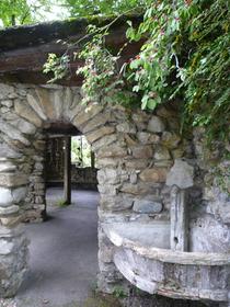 La Jaÿsinia Alpine Botanical Garden