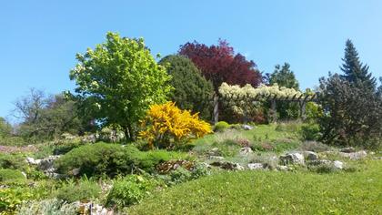 Park of Montriond