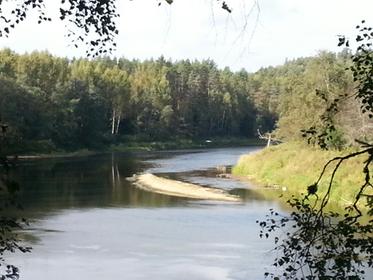 der Fluss Gauja