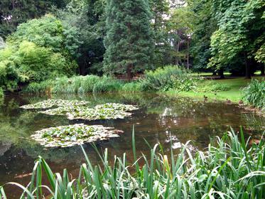 Hofgarten
