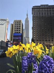Empire State Building