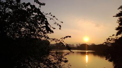 Parque do Ibirapuera