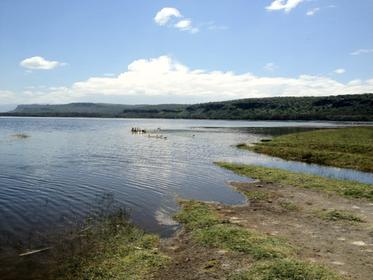 Lake Nakuru National Park