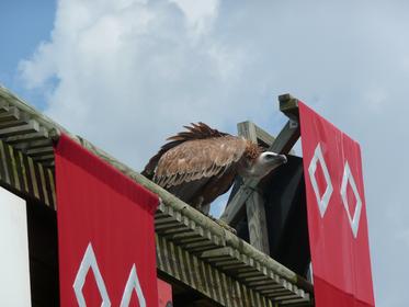 grand parc du Puy du Fou