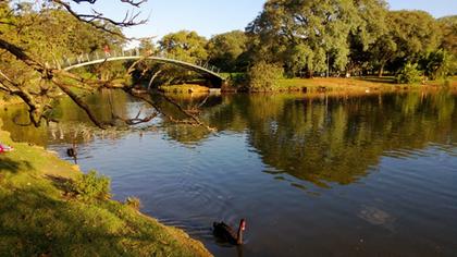 Parque do Ibirapuera