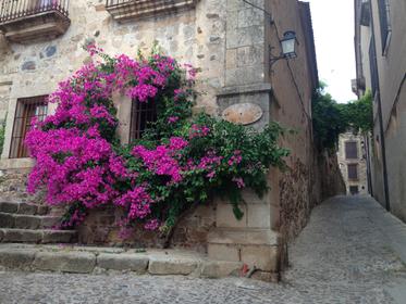 ruelle de Caceres