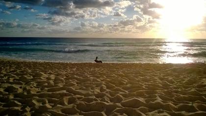 Cancún al amanecer