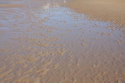 El Sardinero