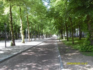 Lange Voorhout