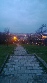 Ciuperca oradea