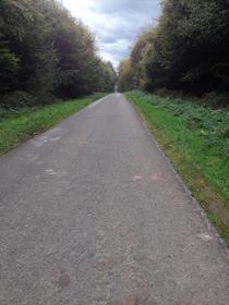 Forêt d'Eawy - Route Forestière Bully / Saint-Saëns