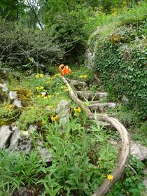 La Jaÿsinia Alpine Botanical Garden