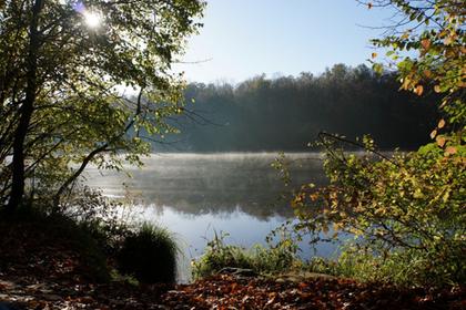 Commelles pools