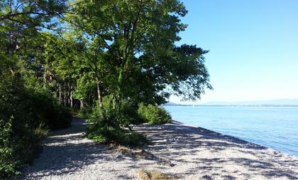 la plage de la Pinède
