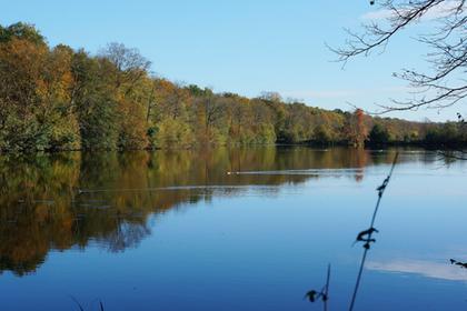 Commelles pools