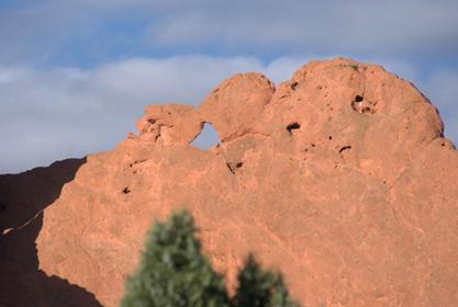 Kissing Camels