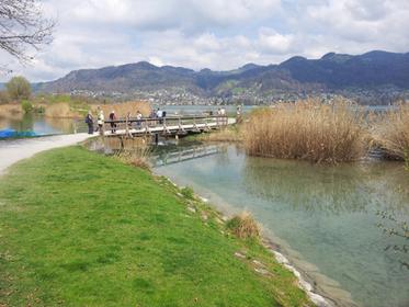 Uferweg Thun - Gwatt