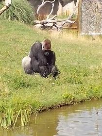 Zoo de La Palmyre