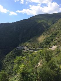 Forêt du Turini