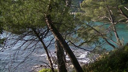 Jardin méditerranéen