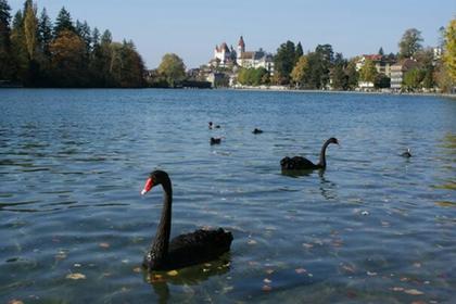 Banks of the Lake
