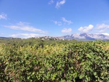Island of Korcula