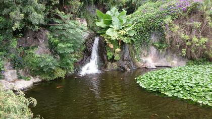 Loro Parque
