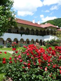 Horezu Monastery yard