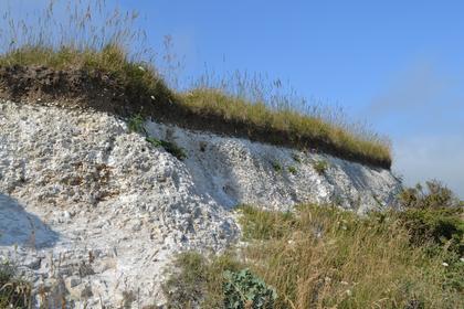 White Cliffs