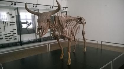 National Museum