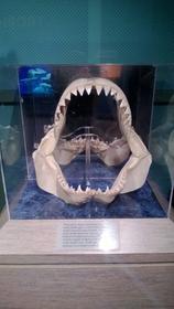Smile!