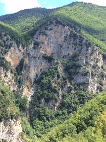 Forêt du Turini