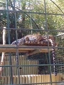Zoo de La Palmyre