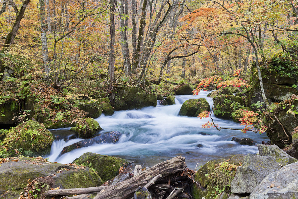 Oirase Gorge Kosaka Tourism Viamichelin